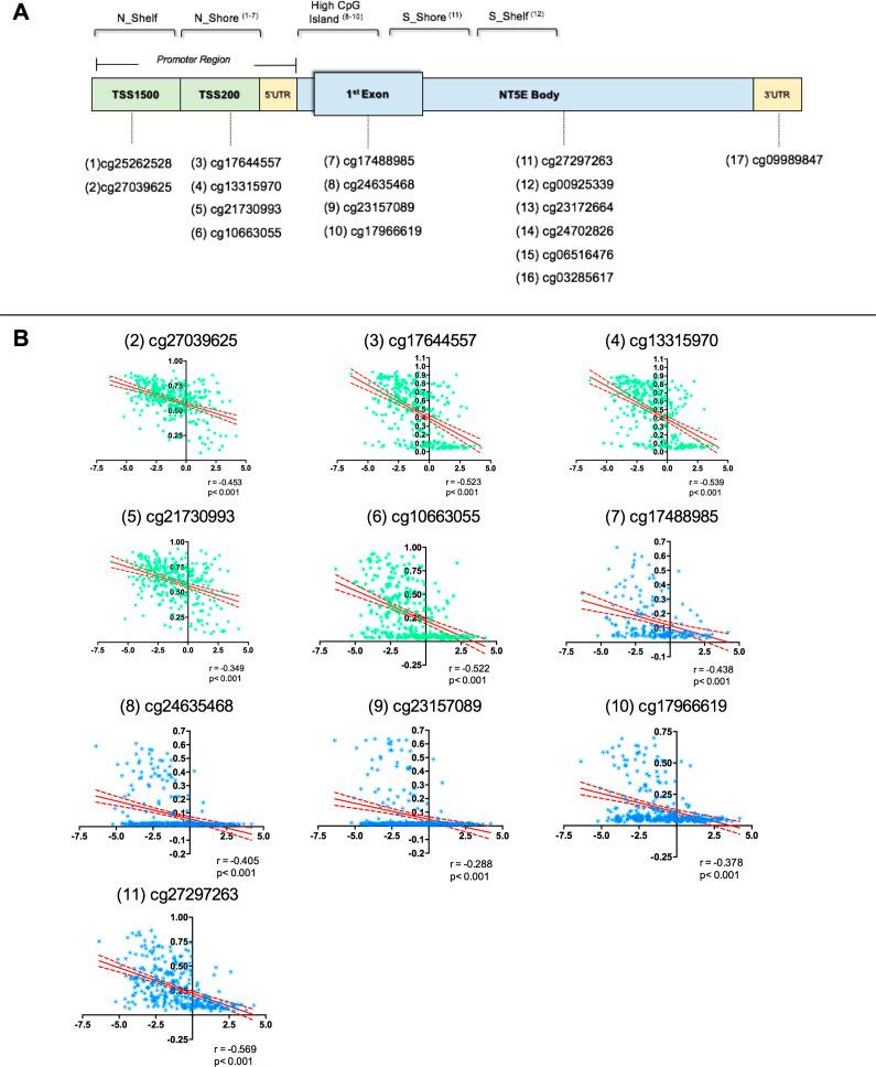 https://cdn.ncbi.nlm.nih.gov/pmc/blobs/1a4d/11707834/e52b4b0cba72/S1462399424000309_fig7.jpg