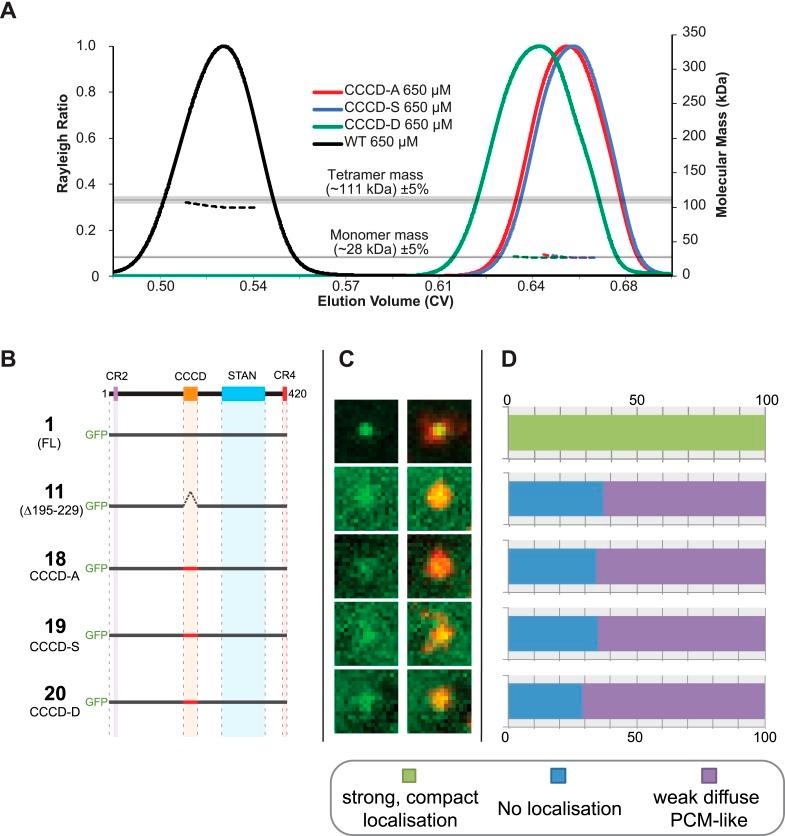 https://cdn.ncbi.nlm.nih.gov/pmc/blobs/1a54/4471874/a18dad06bd3a/elife07236f004.jpg