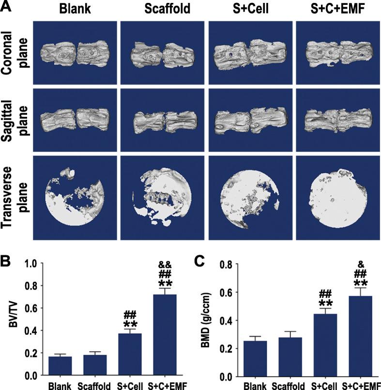 https://cdn.ncbi.nlm.nih.gov/pmc/blobs/1a55/7890873/c1616ef4cb42/13287_2021_2207_Fig7_HTML.jpg