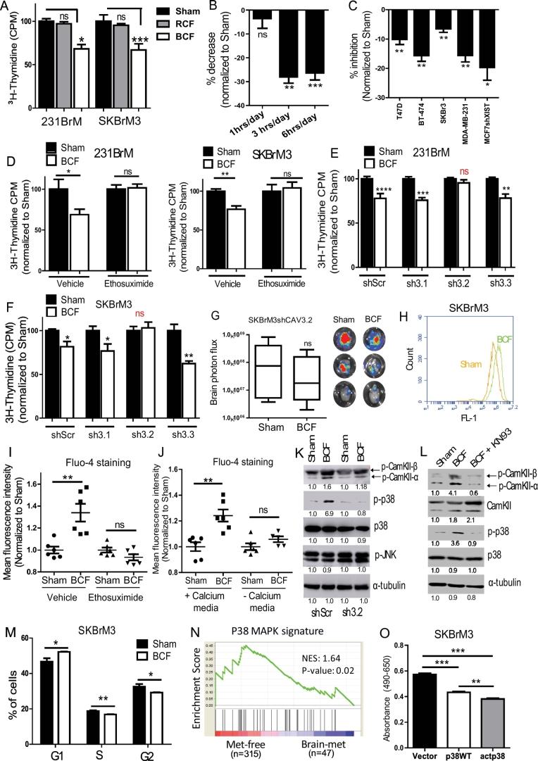 https://cdn.ncbi.nlm.nih.gov/pmc/blobs/1a58/6604768/a63d532e413a/gr3.jpg