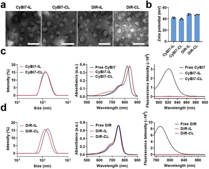 https://cdn.ncbi.nlm.nih.gov/pmc/blobs/1a59/10933650/bcd7b93f965a/ADVS-11-2305600-g003.jpg