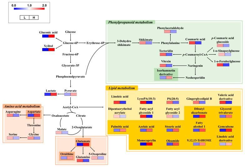 https://cdn.ncbi.nlm.nih.gov/pmc/blobs/1a5a/10891504/c00359412ec6/metabolites-14-00102-g002.jpg
