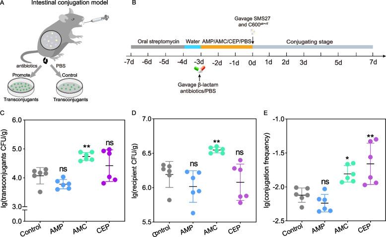 https://cdn.ncbi.nlm.nih.gov/pmc/blobs/1a5a/12080001/75e66d20e01f/12917_2025_4808_Fig3_HTML.jpg