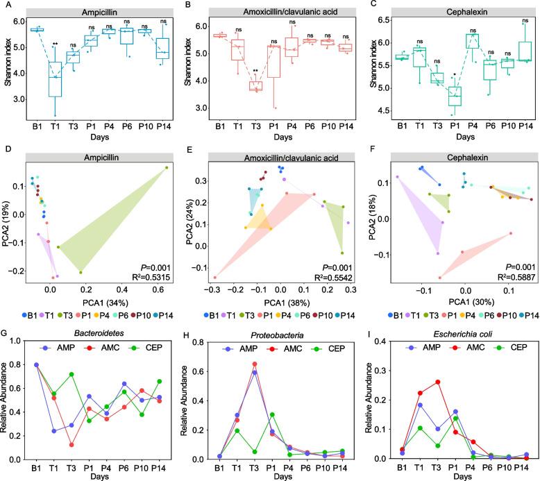 https://cdn.ncbi.nlm.nih.gov/pmc/blobs/1a5a/12080001/b67d82e93d94/12917_2025_4808_Fig6_HTML.jpg
