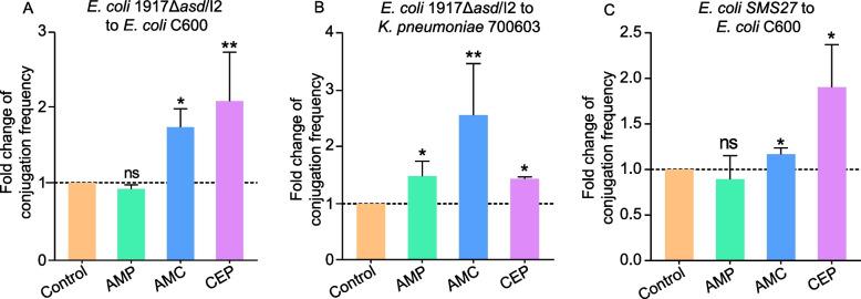 https://cdn.ncbi.nlm.nih.gov/pmc/blobs/1a5a/12080001/cf15c695d18f/12917_2025_4808_Fig2_HTML.jpg