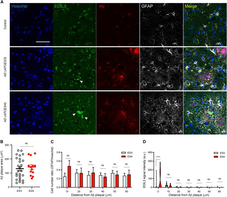 https://cdn.ncbi.nlm.nih.gov/pmc/blobs/1a5b/10545487/02fa917128e4/gr7.jpg