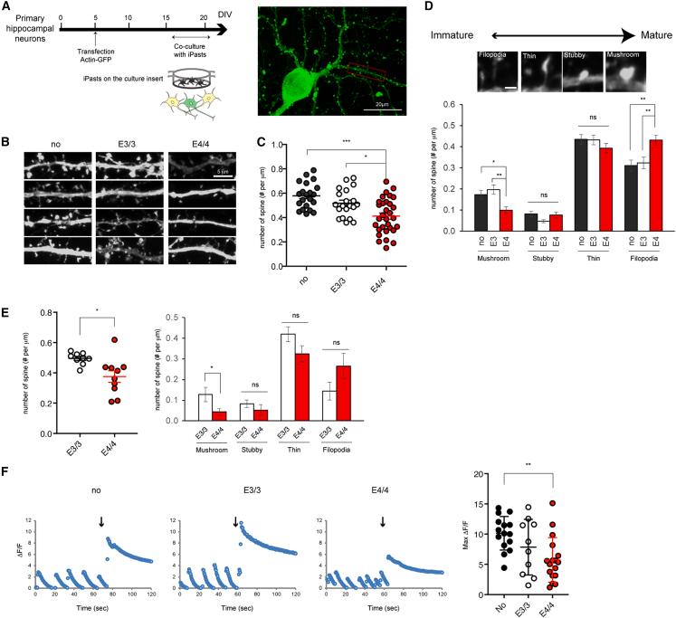 https://cdn.ncbi.nlm.nih.gov/pmc/blobs/1a5b/10545487/410b5ce2f120/gr3.jpg