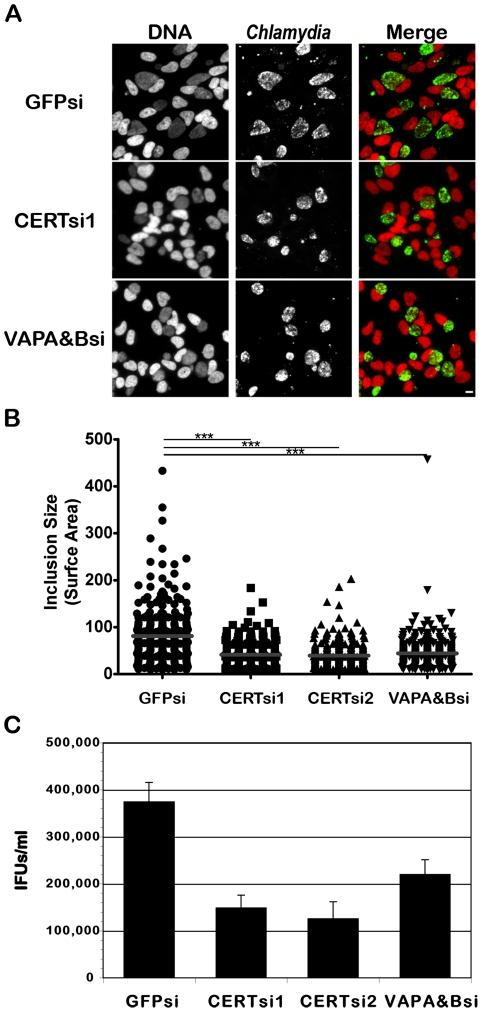 https://cdn.ncbi.nlm.nih.gov/pmc/blobs/1a5b/3121800/ad315ecbac14/ppat.1002092.g008.jpg
