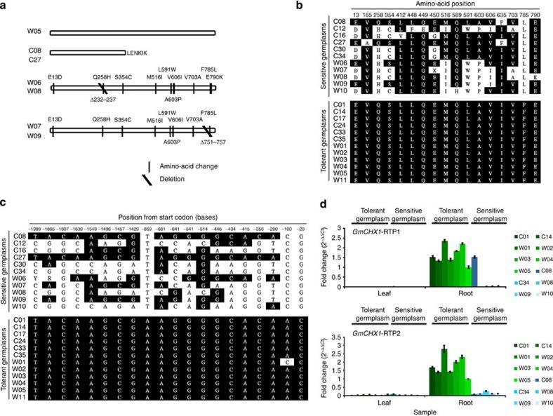 https://cdn.ncbi.nlm.nih.gov/pmc/blobs/1a5b/4104456/a1f76a0a2346/ncomms5340-f3.jpg