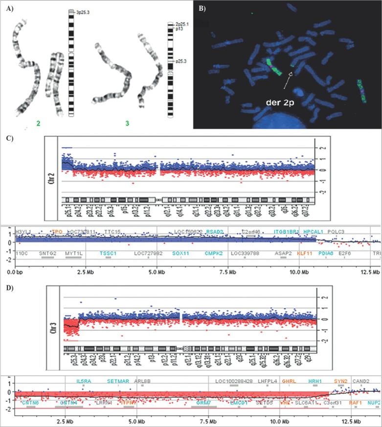 https://cdn.ncbi.nlm.nih.gov/pmc/blobs/1a5b/8009571/e1cef63e2675/bjmg-23-079-g001.jpg