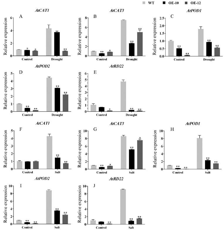 https://cdn.ncbi.nlm.nih.gov/pmc/blobs/1a5b/9181287/af898948d0ac/ijms-23-06269-g010.jpg