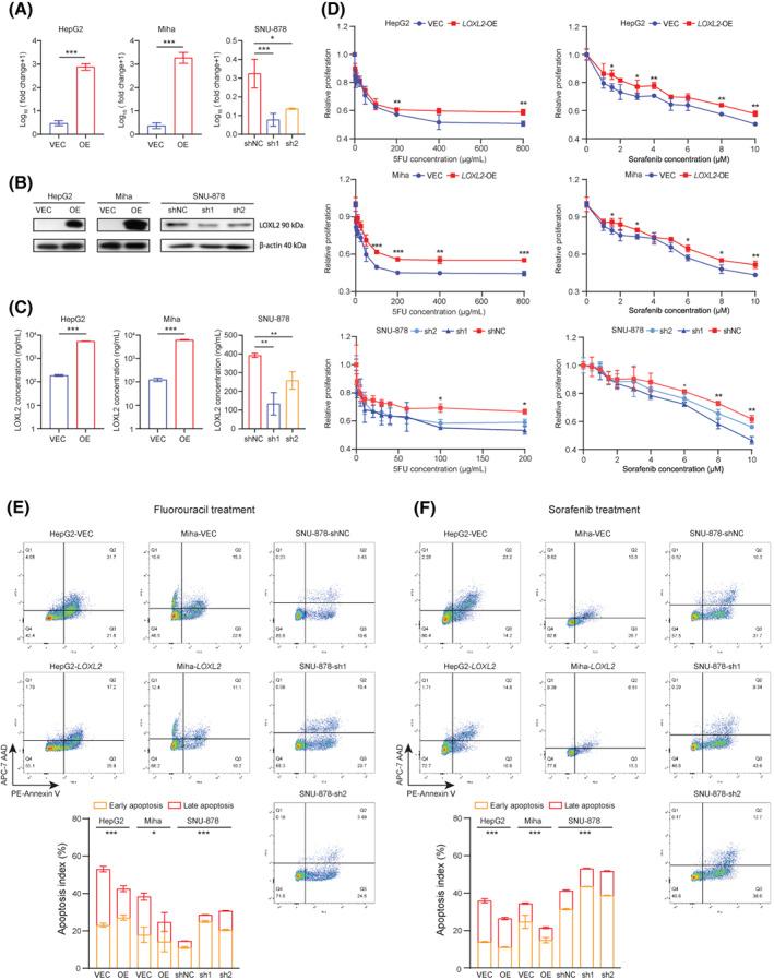 https://cdn.ncbi.nlm.nih.gov/pmc/blobs/1a5f/9592791/221f218141de/HEP4-6-3194-g003.jpg