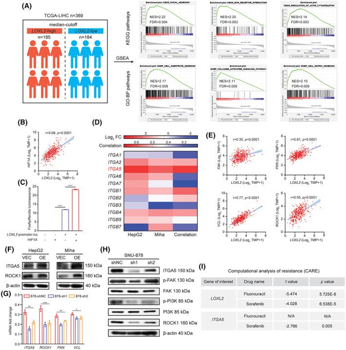 https://cdn.ncbi.nlm.nih.gov/pmc/blobs/1a5f/9592791/2c2950a0c7bd/HEP4-6-3194-g006.jpg