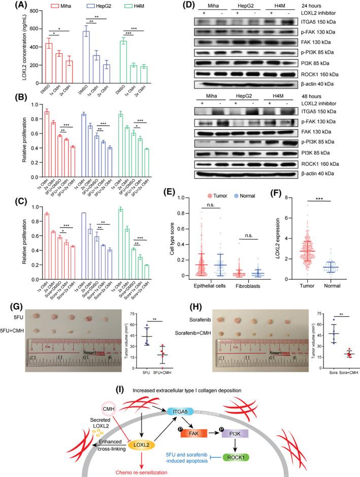https://cdn.ncbi.nlm.nih.gov/pmc/blobs/1a5f/9592791/8e73bef8edd8/HEP4-6-3194-g007.jpg