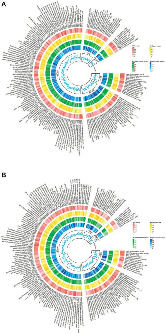 https://cdn.ncbi.nlm.nih.gov/pmc/blobs/1a62/11380132/2249dba6abfd/fmicb-15-1459634-g002.jpg