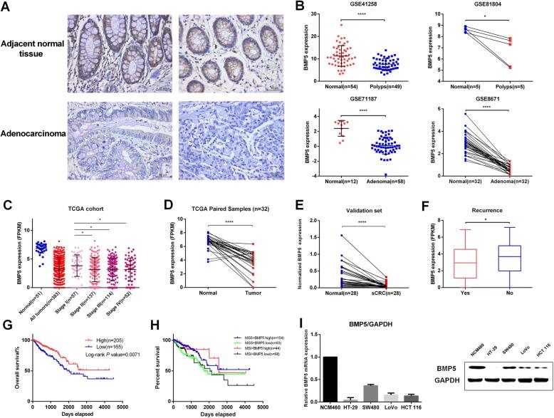 https://cdn.ncbi.nlm.nih.gov/pmc/blobs/1a62/6302470/7da032467efc/12943_2018_925_Fig2_HTML.jpg