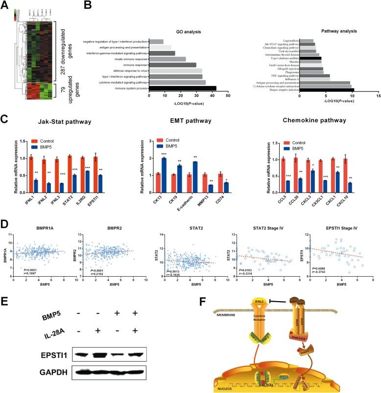 https://cdn.ncbi.nlm.nih.gov/pmc/blobs/1a62/6302470/b1b3bc82768f/12943_2018_925_Fig6_HTML.jpg