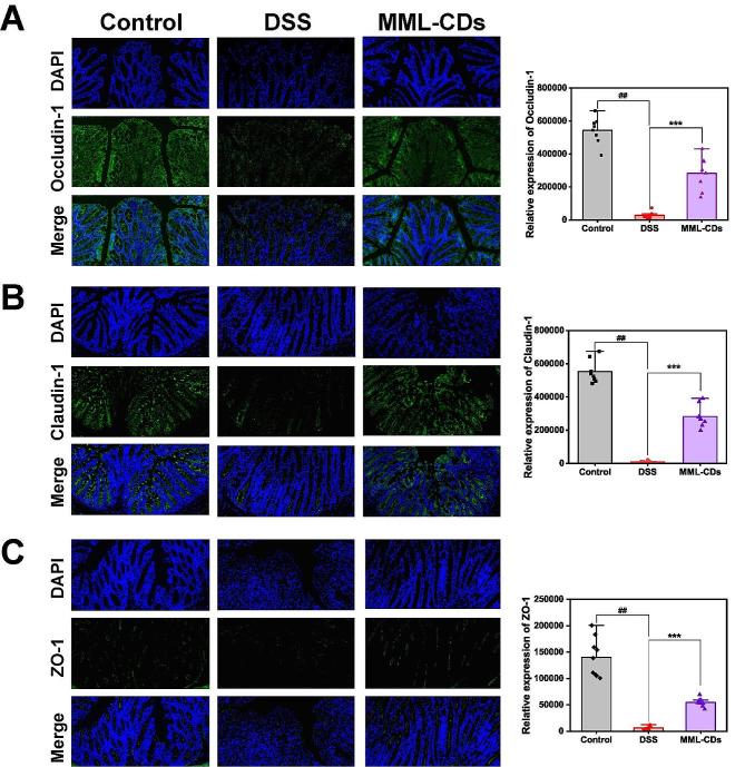 https://cdn.ncbi.nlm.nih.gov/pmc/blobs/1a66/11348712/980de9fe5e87/12951_2024_2702_Fig7_HTML.jpg