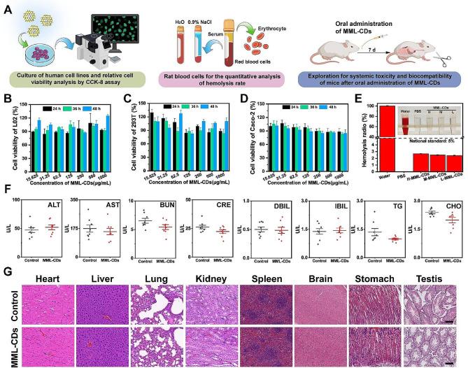 https://cdn.ncbi.nlm.nih.gov/pmc/blobs/1a66/11348712/a6d9f50a6544/12951_2024_2702_Fig3_HTML.jpg
