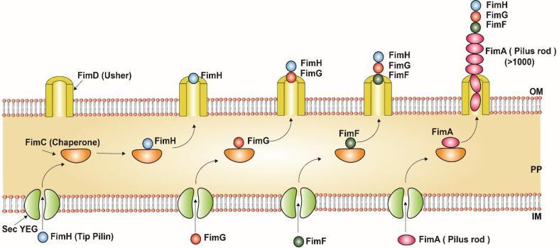 https://cdn.ncbi.nlm.nih.gov/pmc/blobs/1a67/9046445/a2f725bc03eb/gr8.jpg