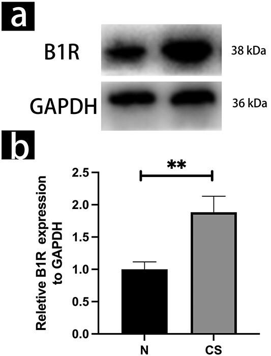https://cdn.ncbi.nlm.nih.gov/pmc/blobs/1a68/10065187/c43b0f134402/qfac004f3.jpg
