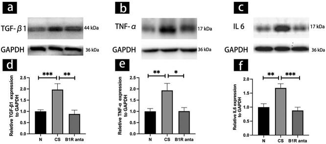 https://cdn.ncbi.nlm.nih.gov/pmc/blobs/1a68/10065187/c5904032d3b9/qfac004f6.jpg