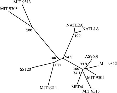 https://cdn.ncbi.nlm.nih.gov/pmc/blobs/1a68/3342869/0a9d59ec035a/gbeevs016f04_ht.jpg