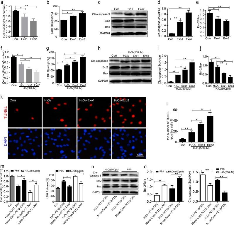 https://cdn.ncbi.nlm.nih.gov/pmc/blobs/1a69/6372680/326998182c31/41419_2019_1410_Fig4_HTML.jpg