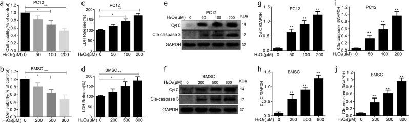 https://cdn.ncbi.nlm.nih.gov/pmc/blobs/1a69/6372680/4208a0084aa2/41419_2019_1410_Fig1_HTML.jpg