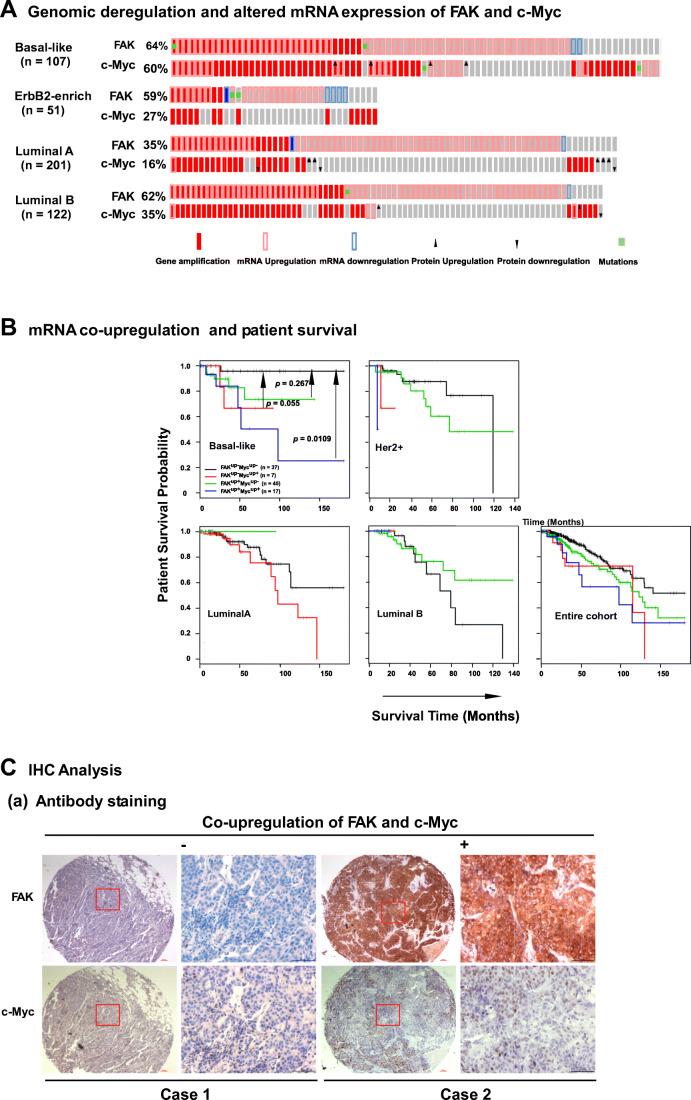 https://cdn.ncbi.nlm.nih.gov/pmc/blobs/1a69/7716866/9a4c3e781fdb/13402_2020_537_Fig1a_HTML.jpg