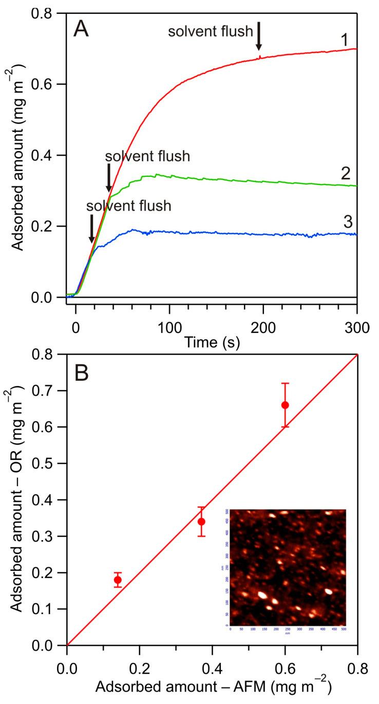 https://cdn.ncbi.nlm.nih.gov/pmc/blobs/1a6a/11117822/5c8b8692cc7e/biomolecules-14-00531-g004.jpg