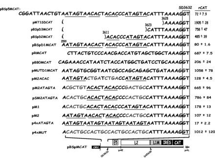 https://cdn.ncbi.nlm.nih.gov/pmc/blobs/1a6a/3905901/d33ceaa9e4d7/gkt803f2p.jpg