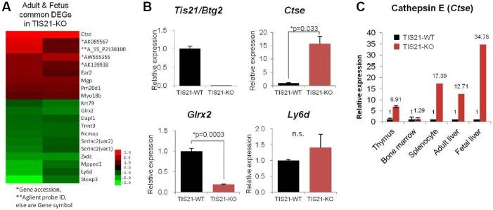 https://cdn.ncbi.nlm.nih.gov/pmc/blobs/1a6a/5824024/fb1d6d20fcf4/molce-41-2-140f4.jpg