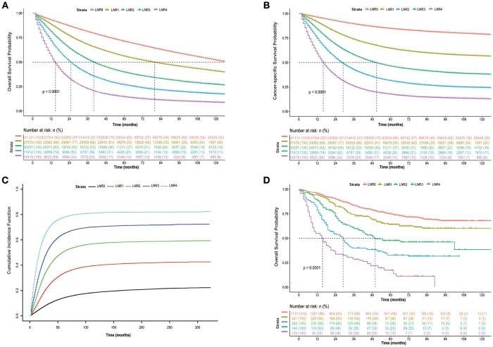 https://cdn.ncbi.nlm.nih.gov/pmc/blobs/1a6c/6305371/1d7c9ae4f684/fonc-08-00628-g0003.jpg