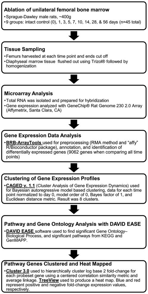 https://cdn.ncbi.nlm.nih.gov/pmc/blobs/1a6d/2948496/e728c364f880/pone.0012987.g001.jpg