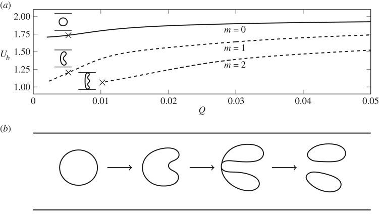 https://cdn.ncbi.nlm.nih.gov/pmc/blobs/1a6d/6936619/68f0b26c6721/rspa20190434-g2.jpg
