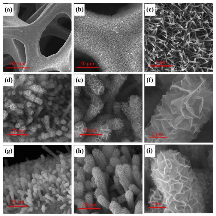 https://cdn.ncbi.nlm.nih.gov/pmc/blobs/1a6e/11723071/4031a394c72b/nanomaterials-15-00047-g001.jpg