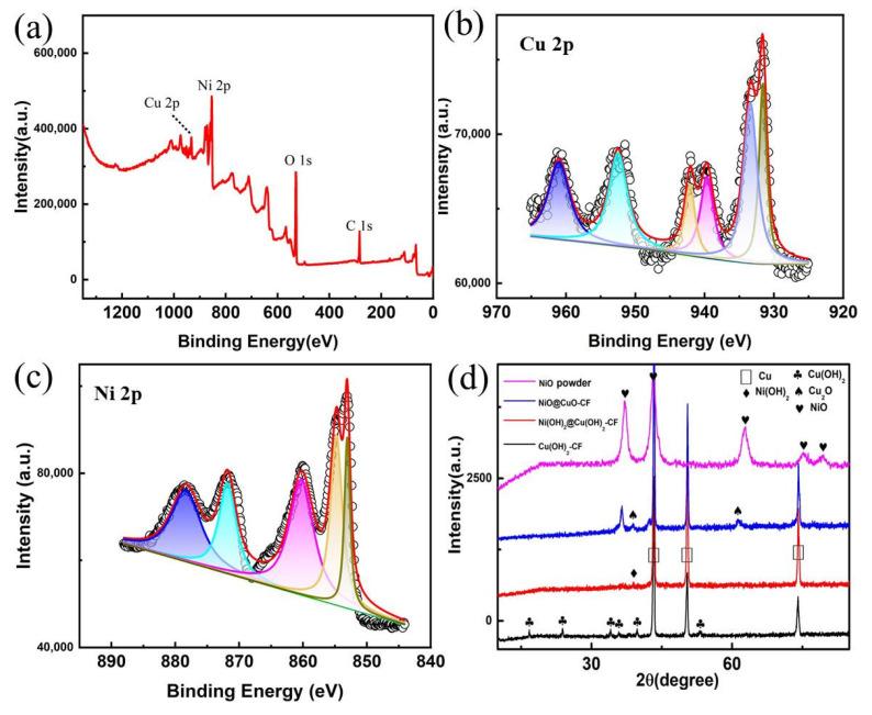 https://cdn.ncbi.nlm.nih.gov/pmc/blobs/1a6e/11723071/9c4b5a6148a7/nanomaterials-15-00047-g003.jpg
