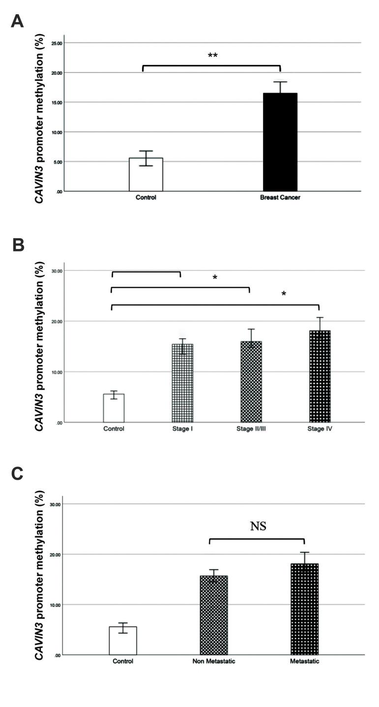 https://cdn.ncbi.nlm.nih.gov/pmc/blobs/1a71/8405083/d7eae4fd189b/Cell-J-23-397-g02.jpg