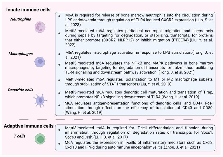 https://cdn.ncbi.nlm.nih.gov/pmc/blobs/1a72/10377384/c051ad423f30/biomolecules-13-01060-g003.jpg