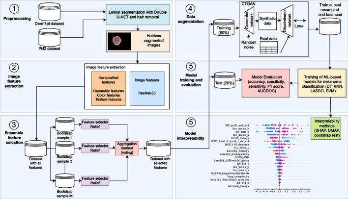 https://cdn.ncbi.nlm.nih.gov/pmc/blobs/1a73/11526724/b4760e448463/13040_2024_397_Fig1_HTML.jpg