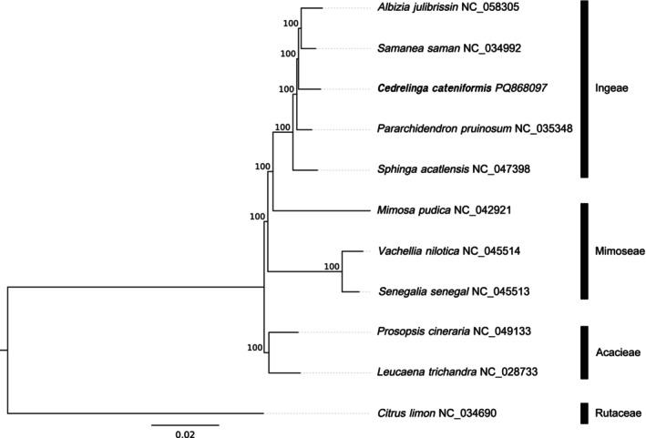 https://cdn.ncbi.nlm.nih.gov/pmc/blobs/1a73/12018703/a870c73e3c4c/ECE3-15-e71355-g001.jpg