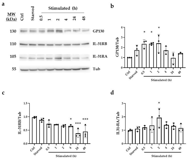 https://cdn.ncbi.nlm.nih.gov/pmc/blobs/1a77/10095085/a7ec47a98936/ijms-24-06467-g003.jpg