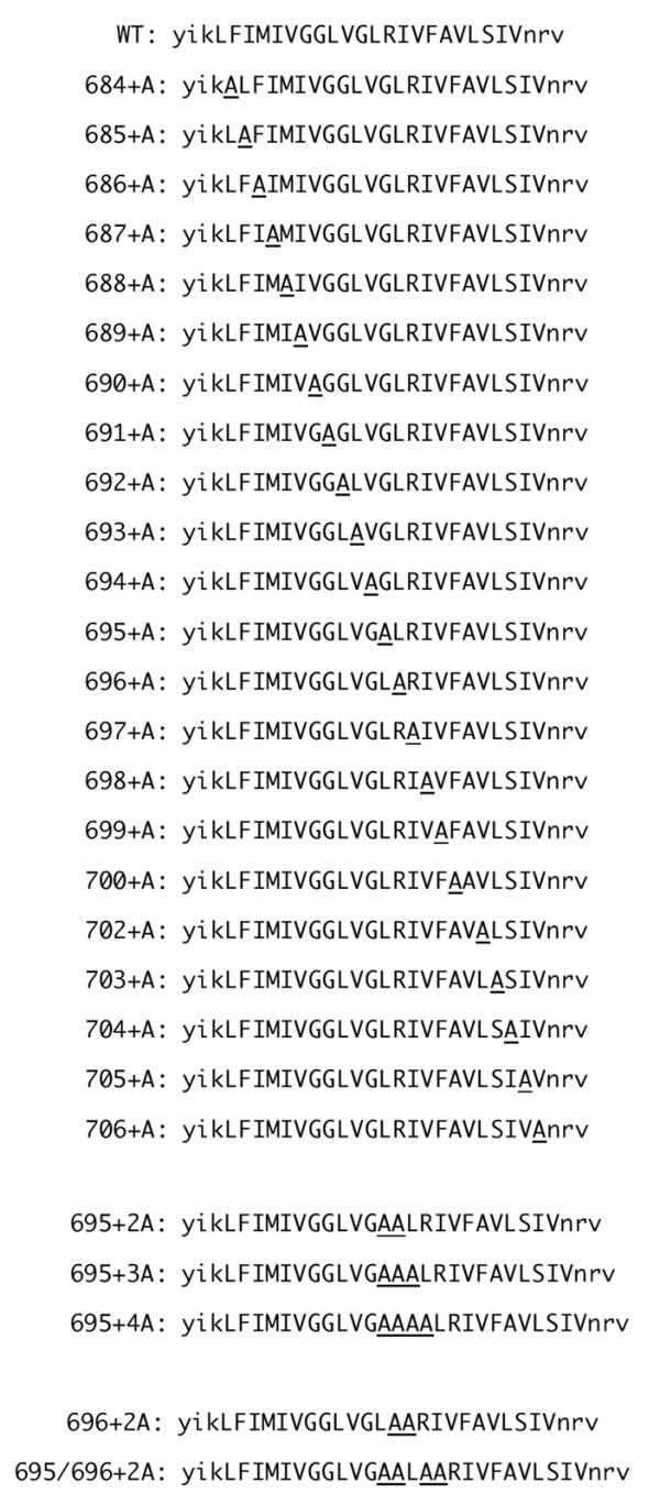 https://cdn.ncbi.nlm.nih.gov/pmc/blobs/1a7a/2994783/31bb5c76feeb/1742-4690-7-95-2.jpg