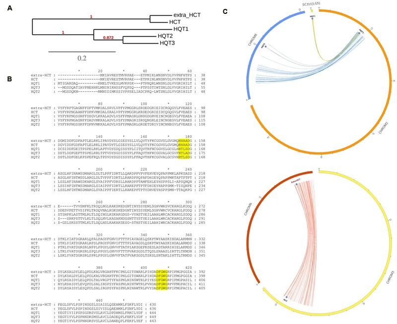 https://cdn.ncbi.nlm.nih.gov/pmc/blobs/1a7a/5033976/71b82879e651/fpls-07-01424-g003.jpg