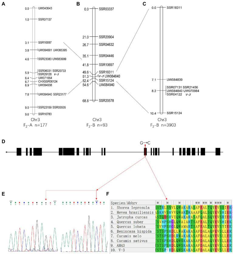 https://cdn.ncbi.nlm.nih.gov/pmc/blobs/1a7b/9424728/bfe9ac1da6c0/fpls-13-972620-g006.jpg