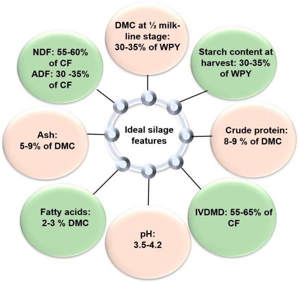 https://cdn.ncbi.nlm.nih.gov/pmc/blobs/1a7c/10250641/50d274af3513/fgene-14-1150132-g001.jpg