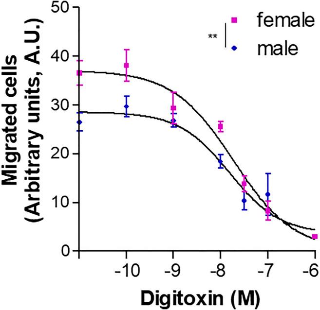 https://cdn.ncbi.nlm.nih.gov/pmc/blobs/1a7d/7773665/145ba22e6fab/fphar-11-587221-g010.jpg