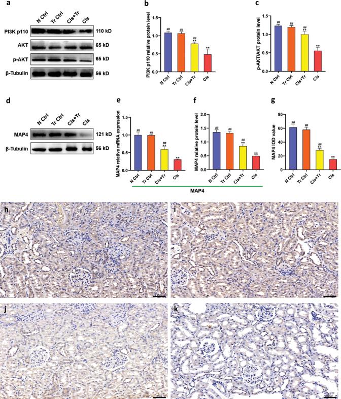https://cdn.ncbi.nlm.nih.gov/pmc/blobs/1a80/9252313/ed40c320a1b6/FNR-66-8469-g005.jpg