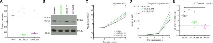 https://cdn.ncbi.nlm.nih.gov/pmc/blobs/1a82/5432238/0b3e34f43309/oncotarget-08-26066-g003.jpg